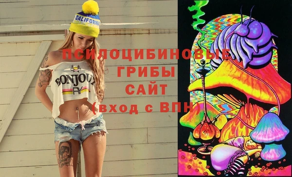 альфа пвп Надым